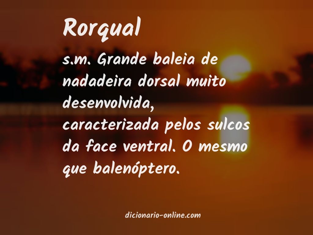 Significado de rorqual