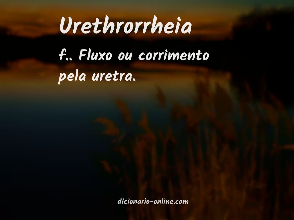 Significado de urethrorrheia