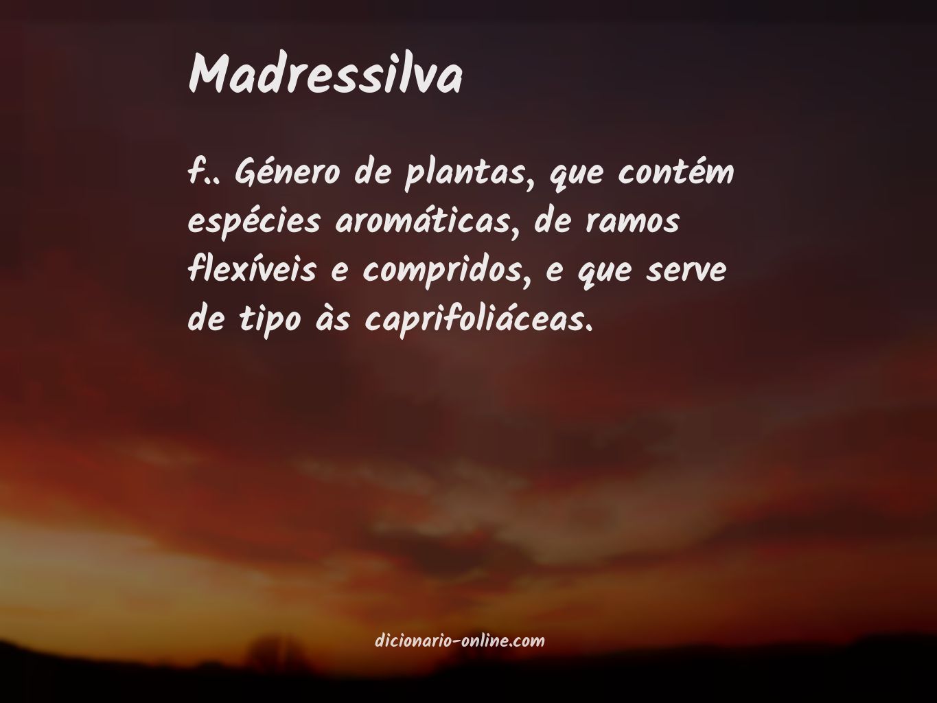 Significado de madressilva