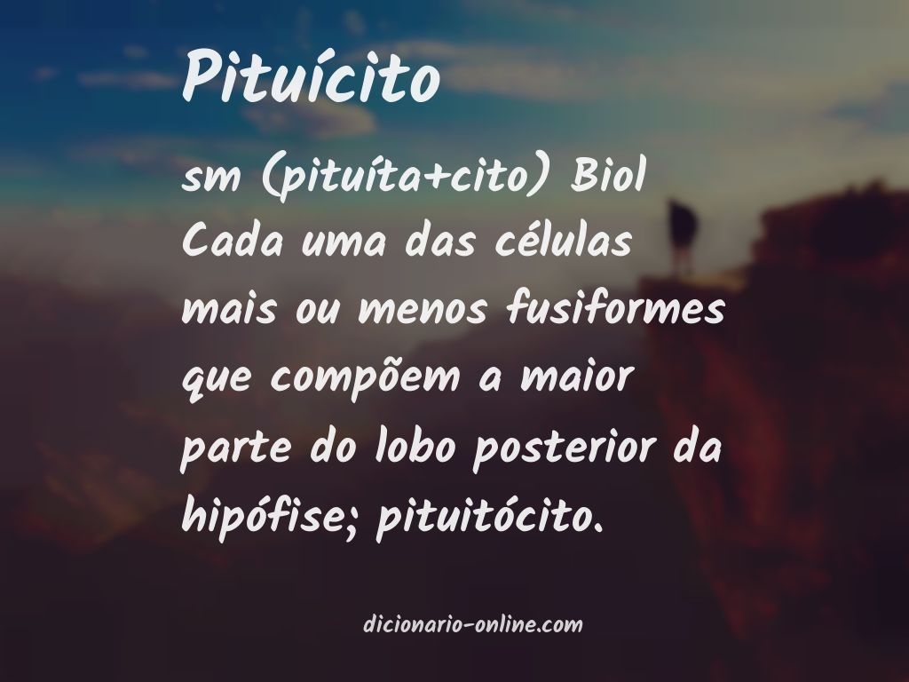 Significado de pituícito