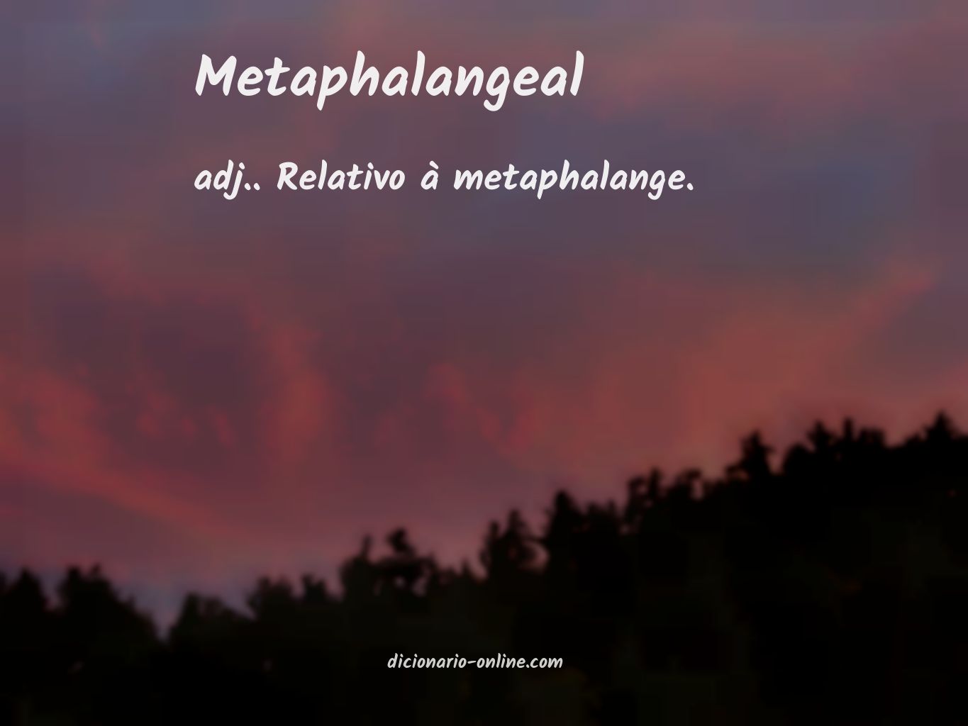Significado de metaphalangeal