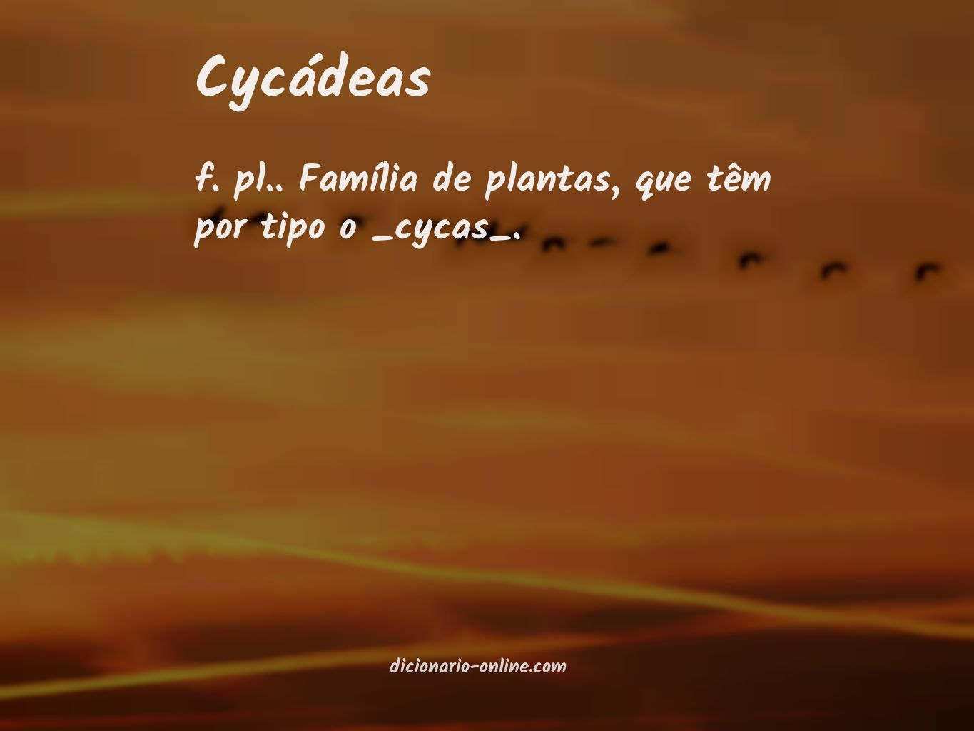 Significado de cycádeas