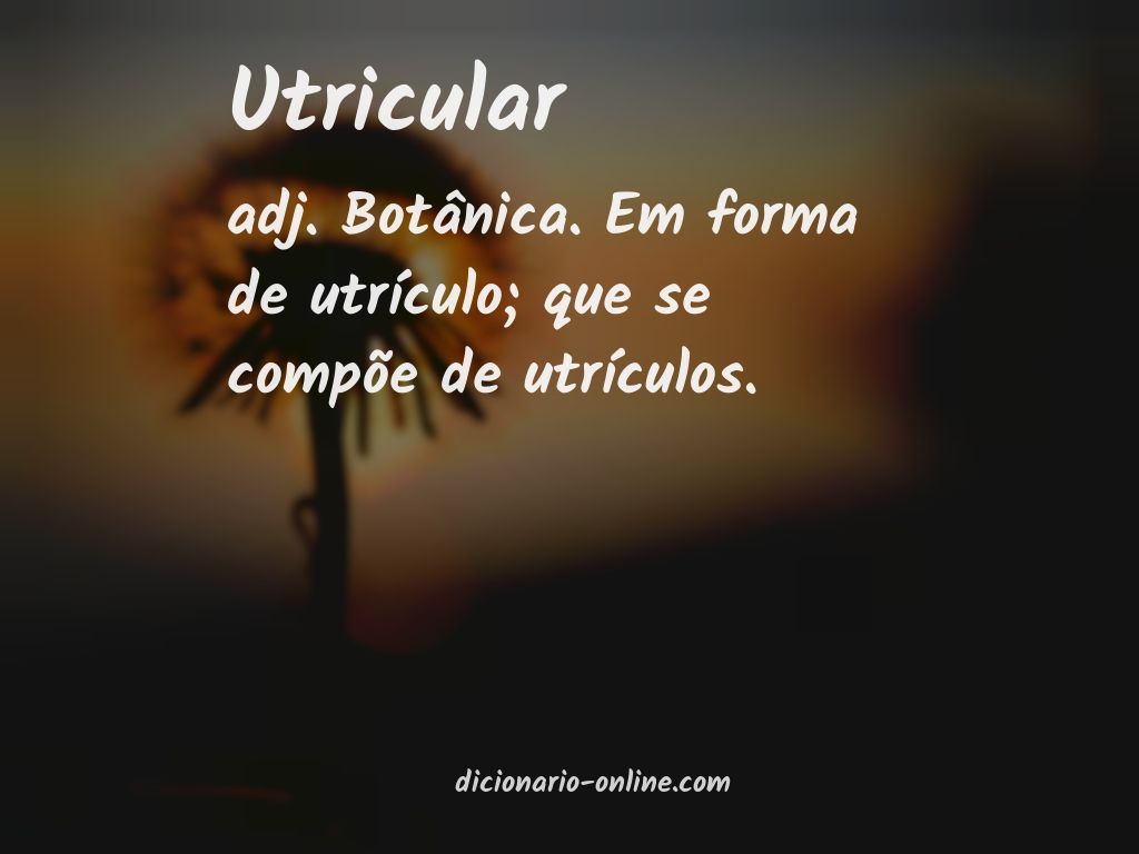 Significado de utricular