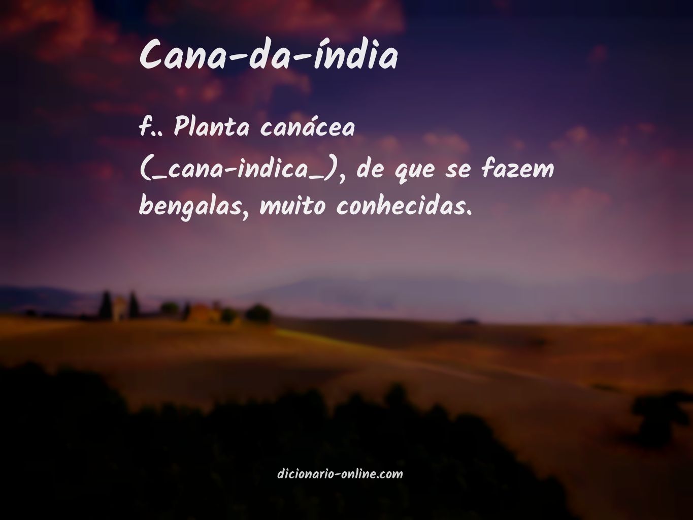 Significado de cana-da-índia