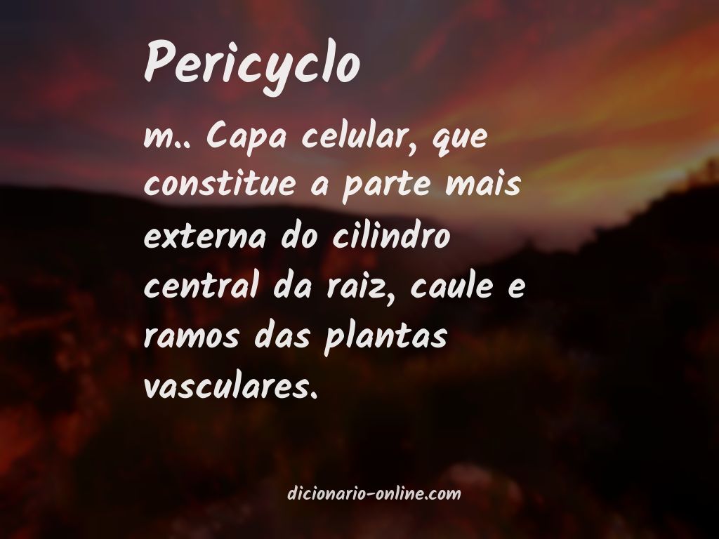 Significado de pericyclo