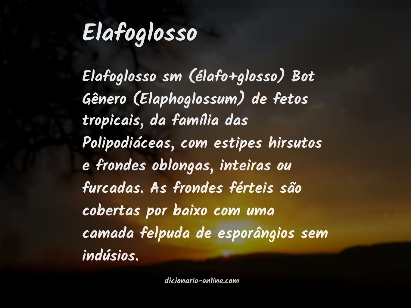 Significado de elafoglosso