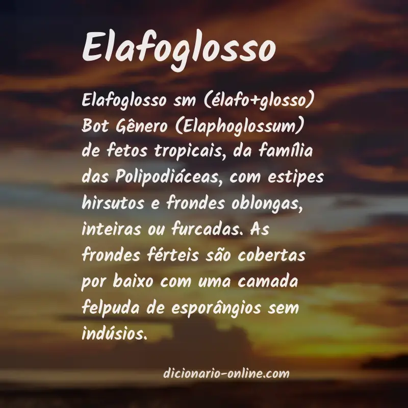 Significado de elafoglosso