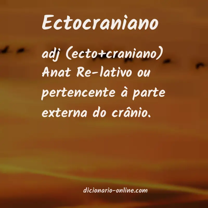 Significado de ectocraniano