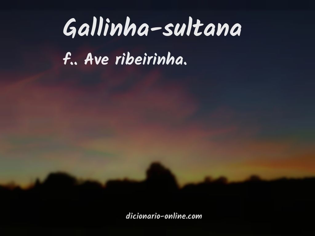 Significado de gallinha-sultana