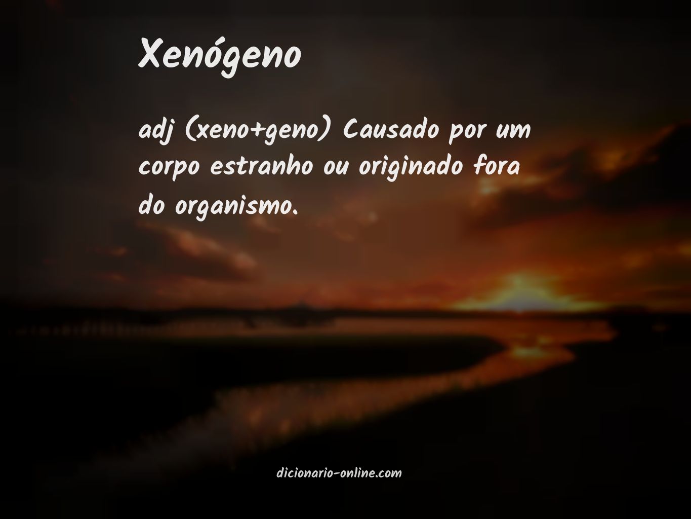 Significado de xenógeno