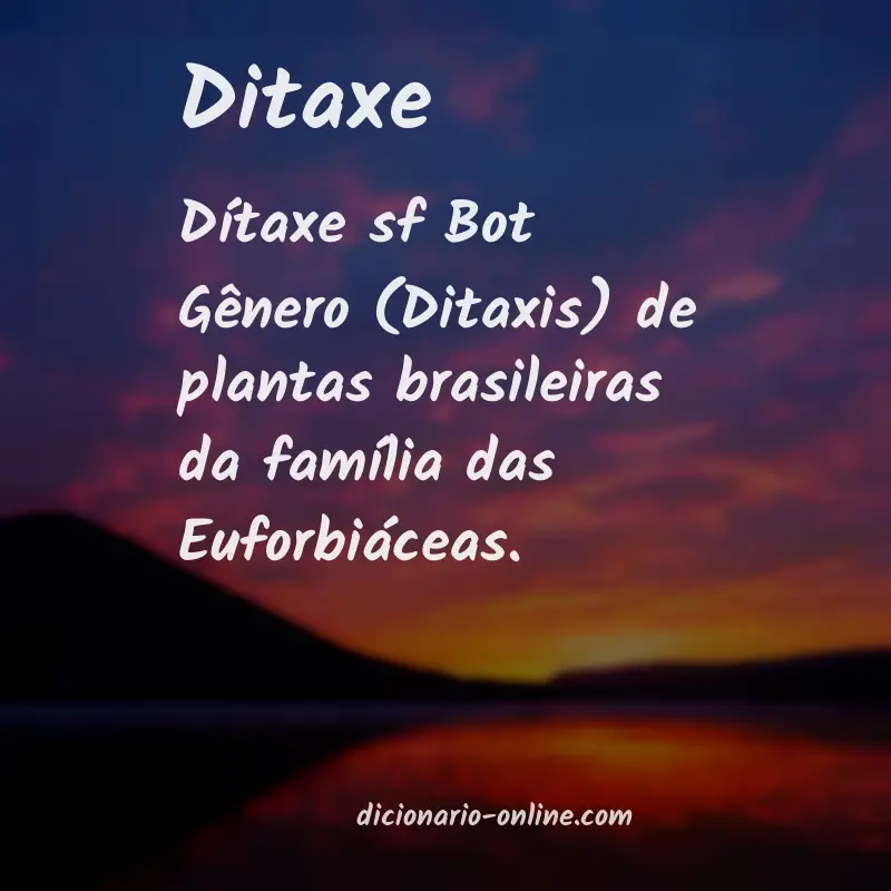 Significado de ditaxe