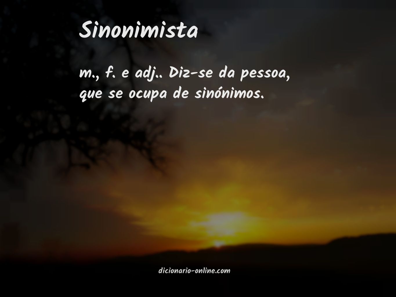 Significado de sinonimista