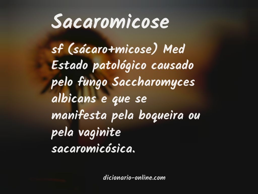 Significado de sacaromicose