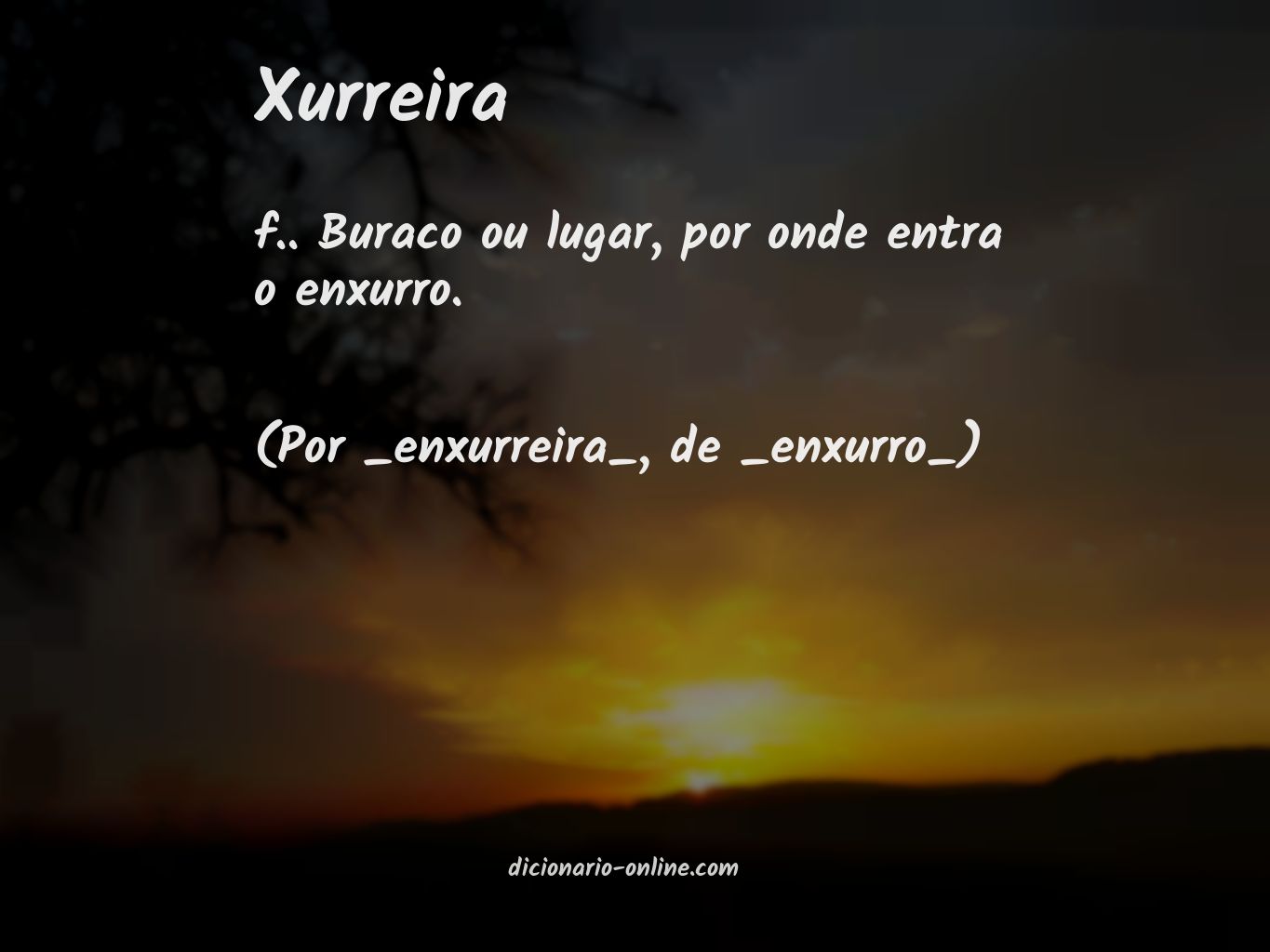 Significado de xurreira