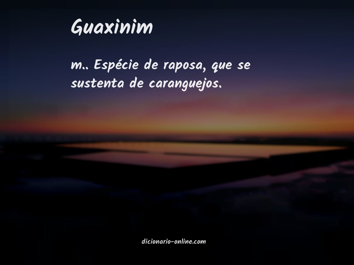 Significado de guaxinim