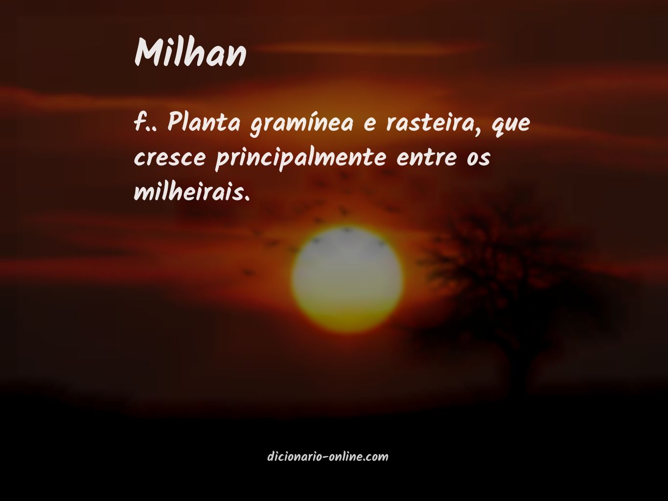 Significado de milhan