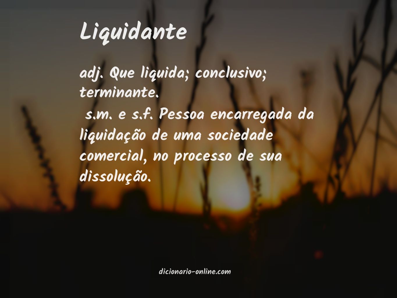 Significado de liquidante