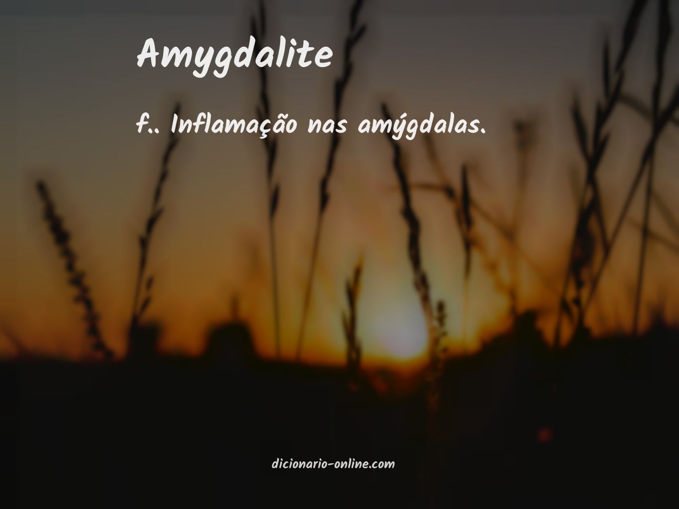 Significado de amygdalite