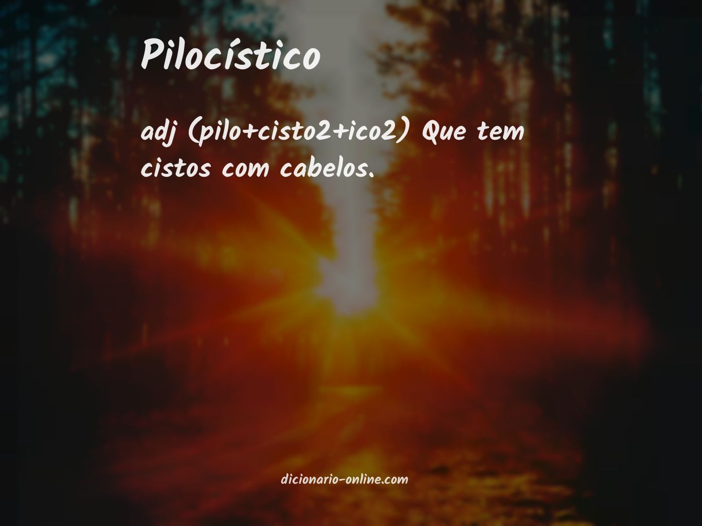 Significado de pilocístico