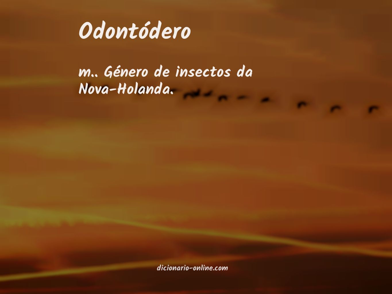 Significado de odontódero