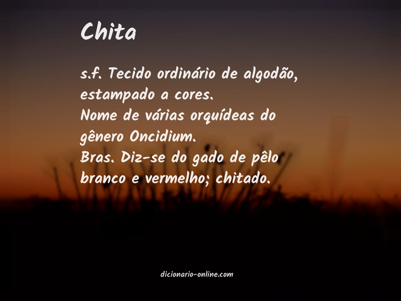 Significado de chita