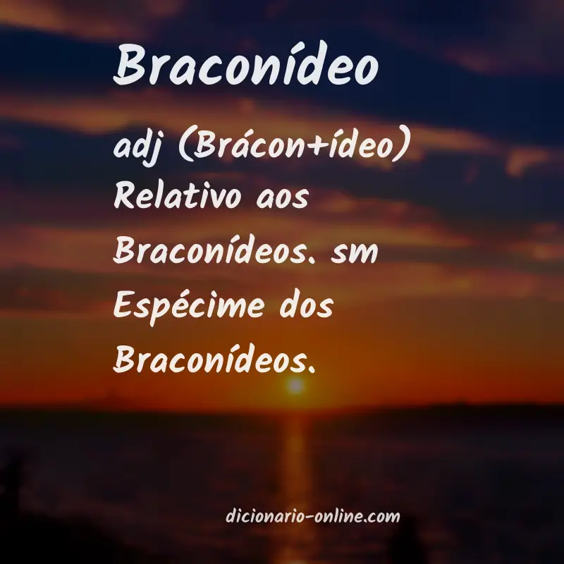 Significado de braconídeo