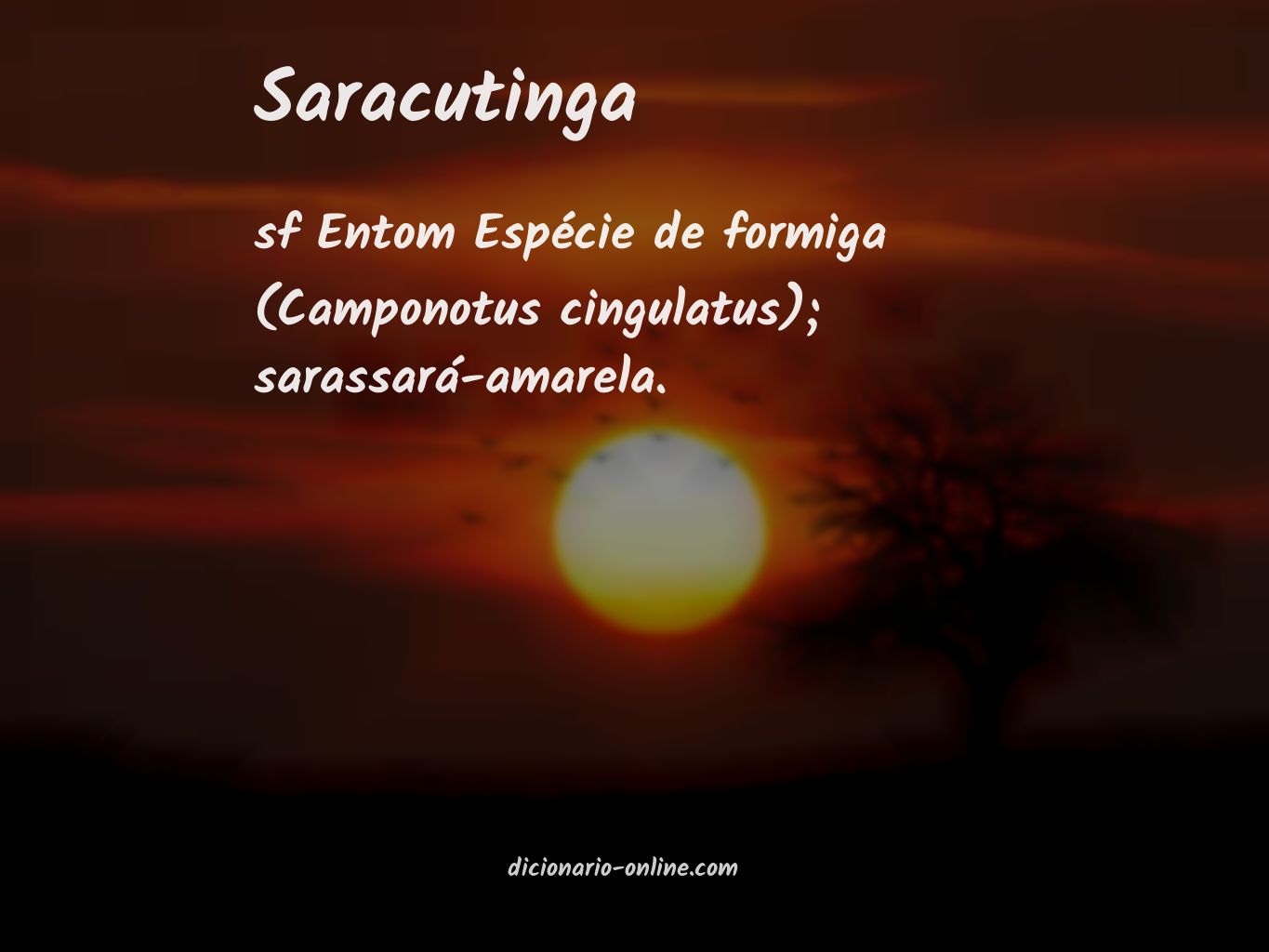 Significado de saracutinga