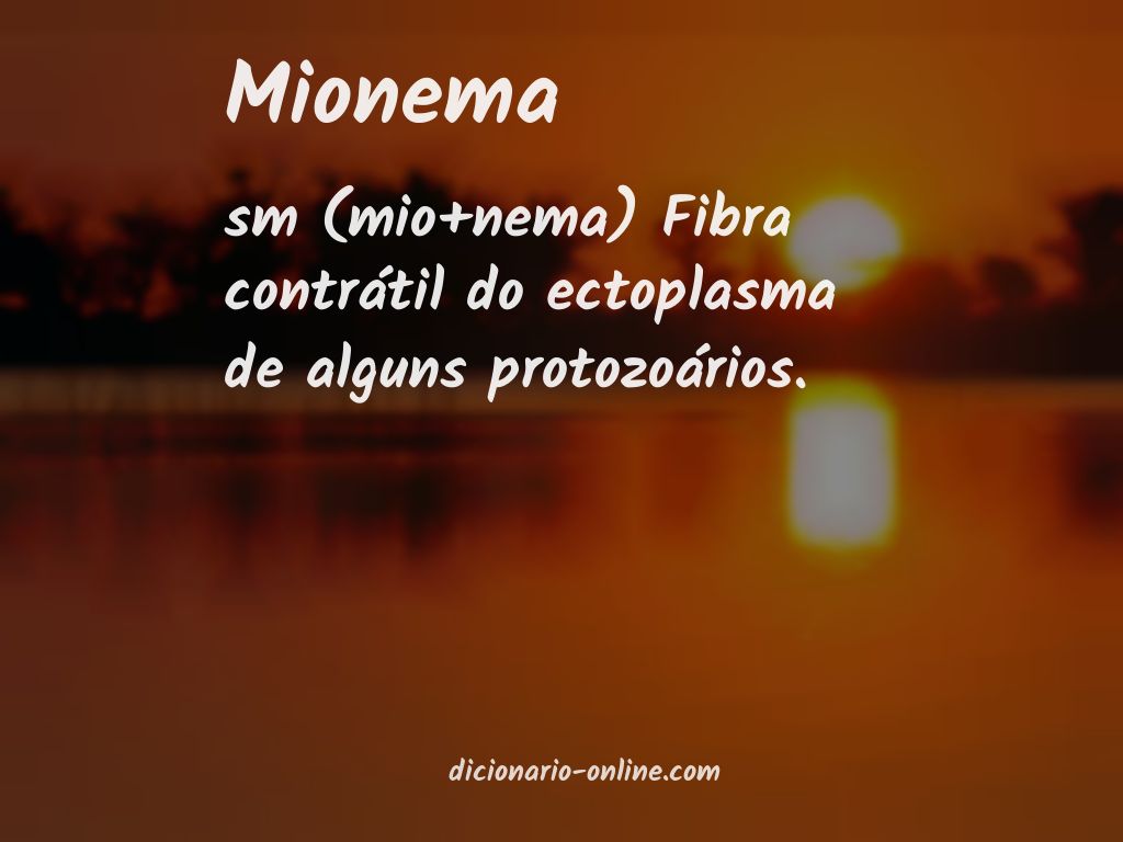 Significado de mionema