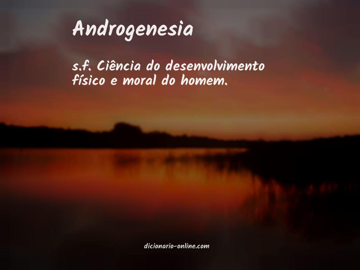 Significado de androgenesia