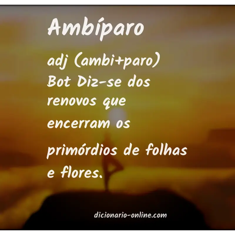 Significado de ambíparo