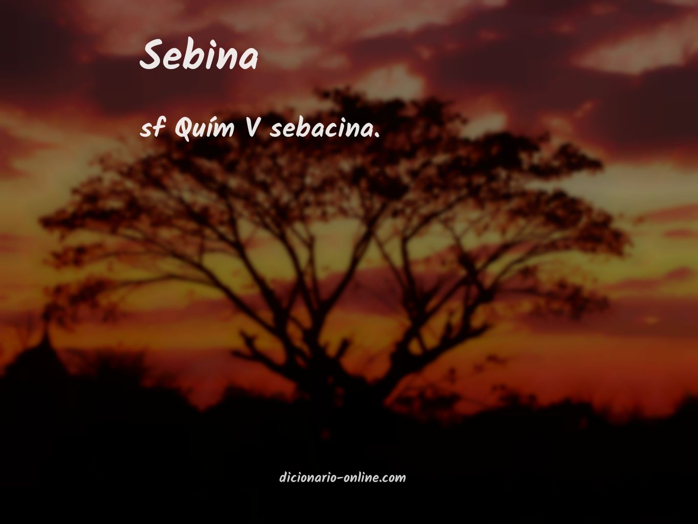 Significado de sebina