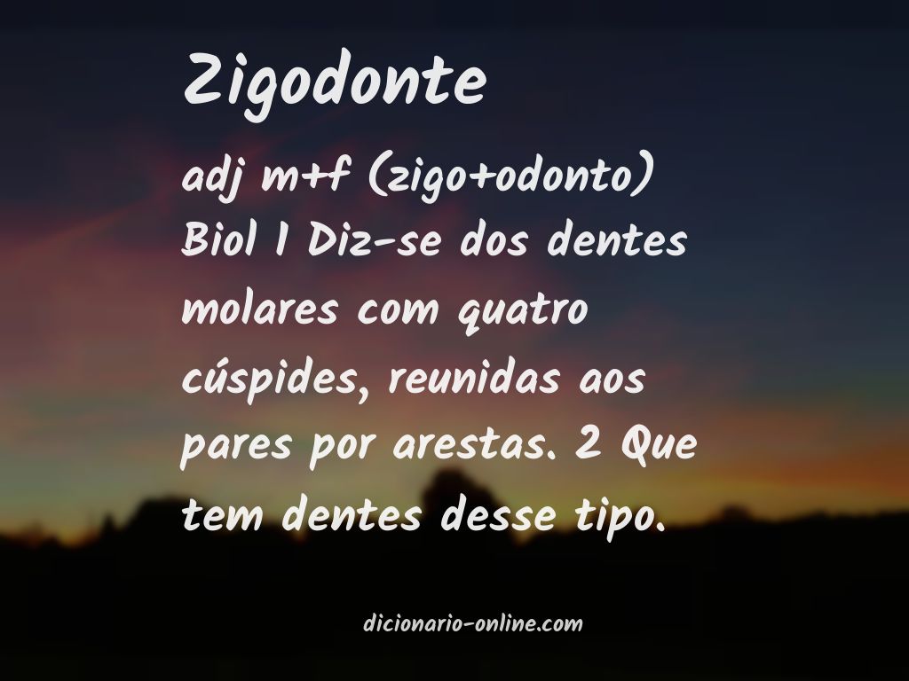 Significado de zigodonte