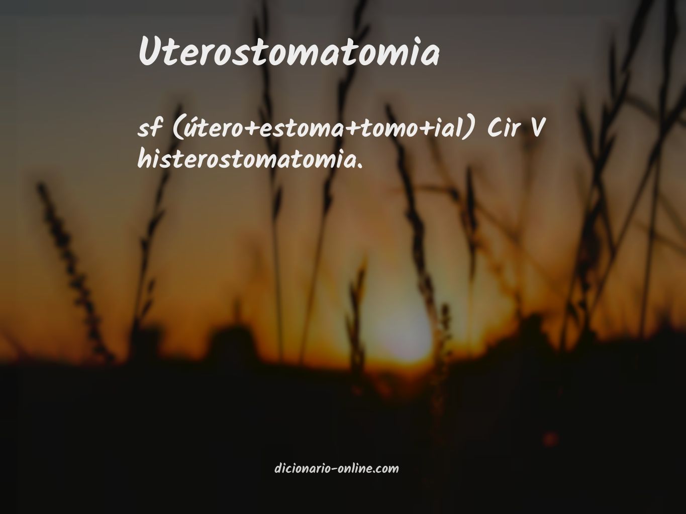 Significado de uterostomatomia