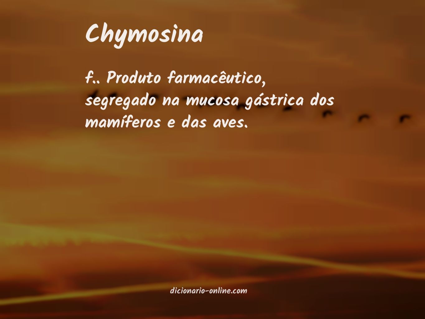 Significado de chymosina