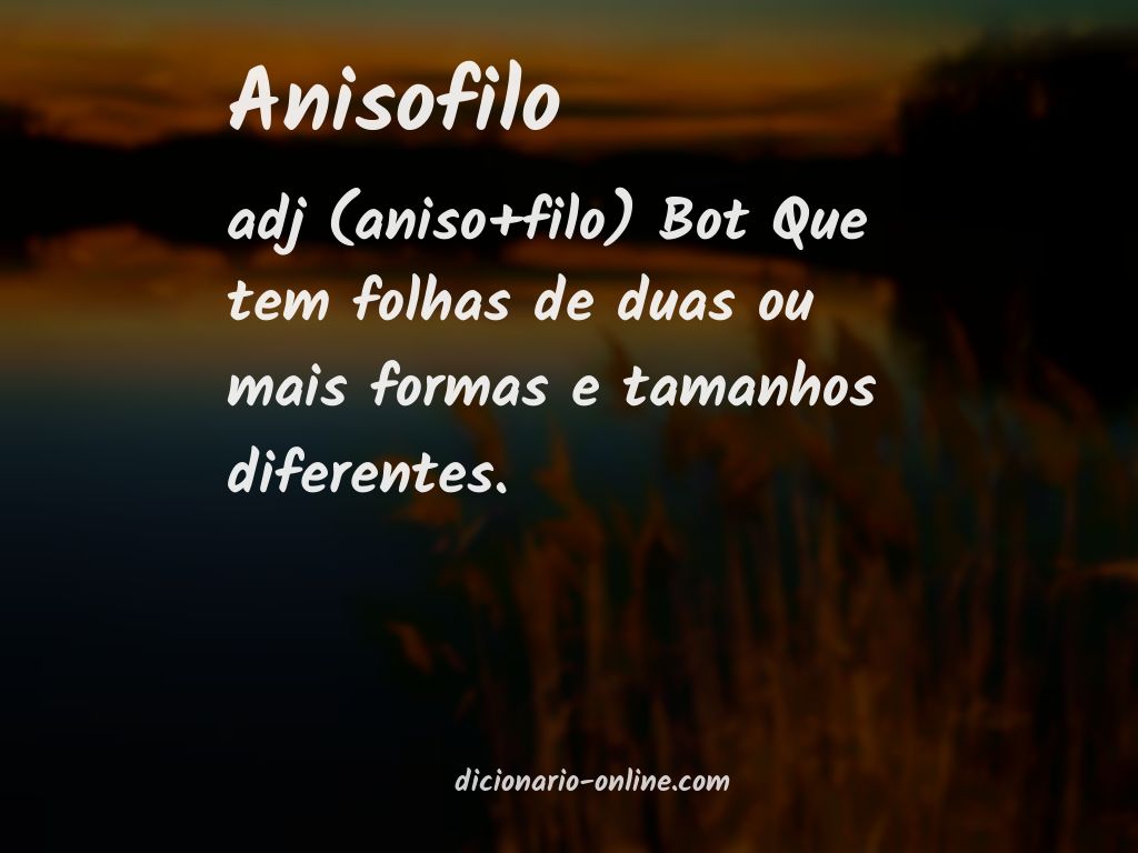 Significado de anisofilo