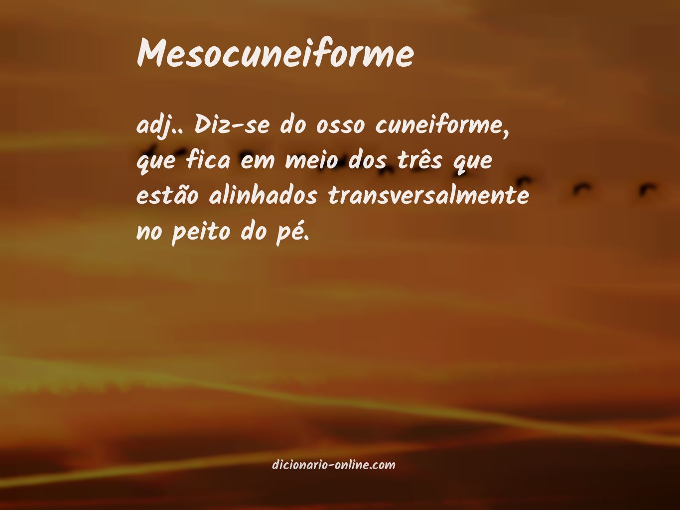 Significado de mesocuneiforme