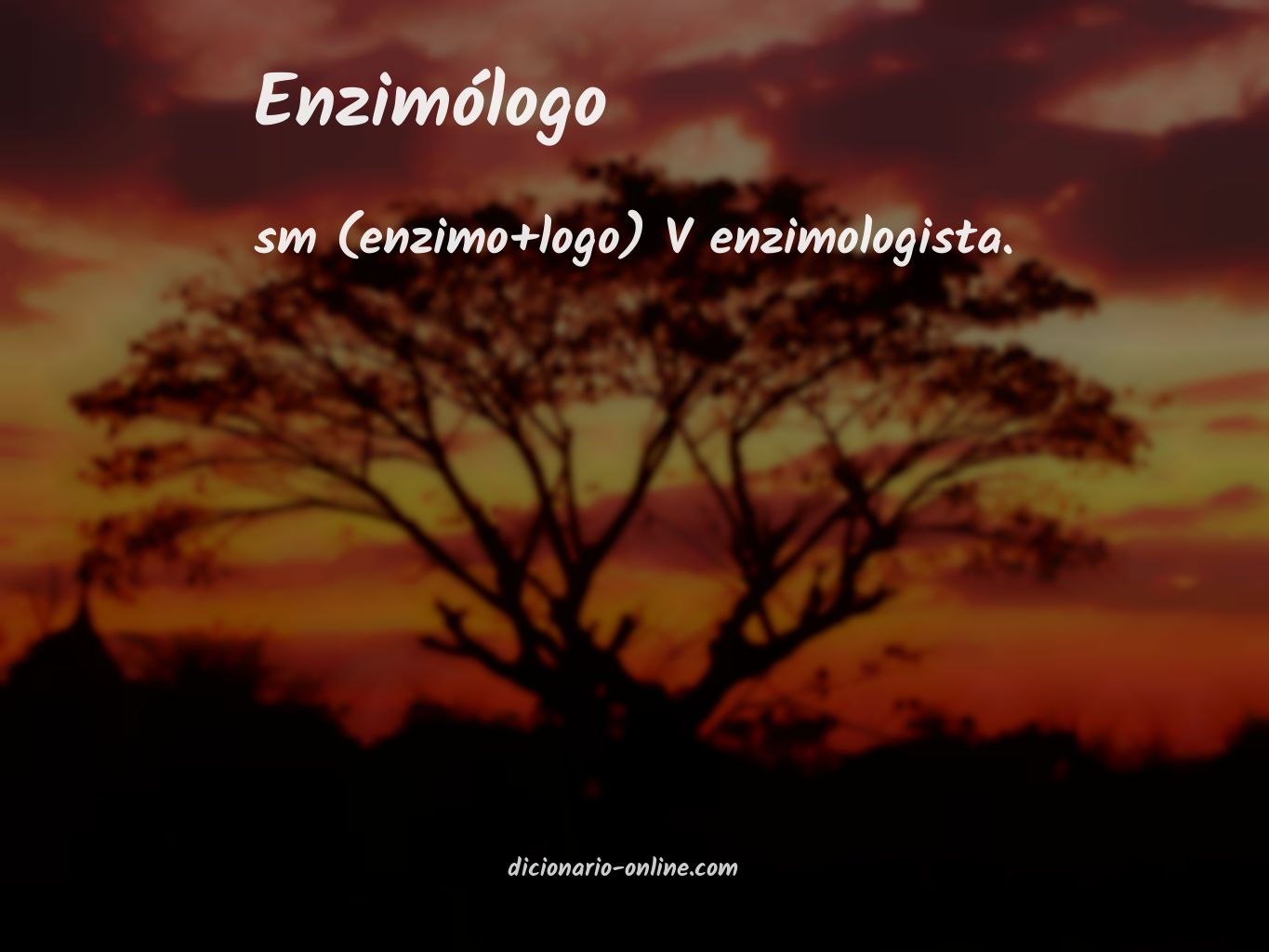 Significado de enzimólogo