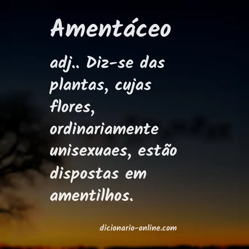 Significado de amentáceo