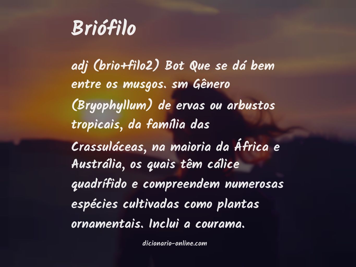 Significado de briófilo