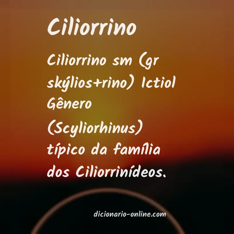 Significado de ciliorrino