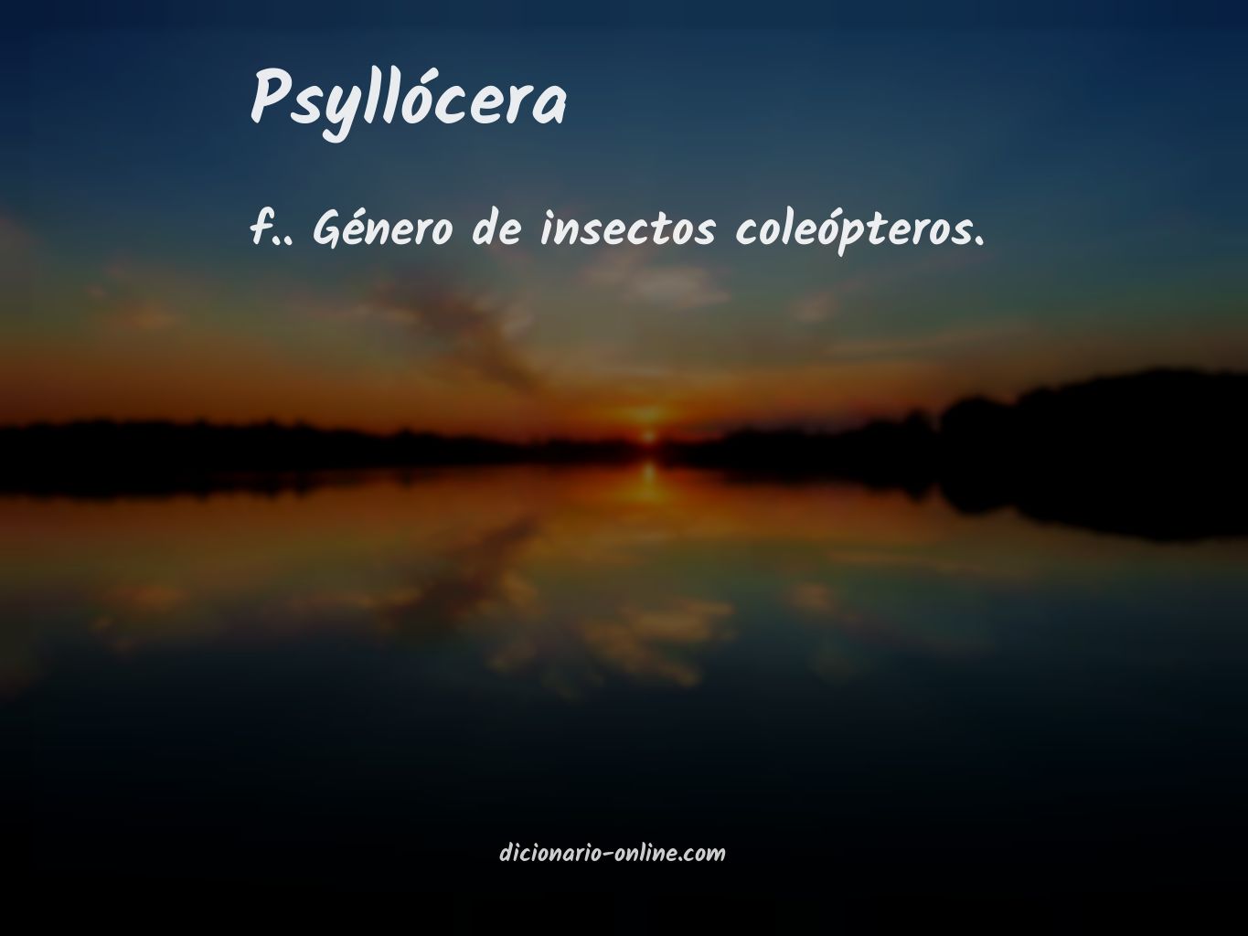 Significado de psyllócera