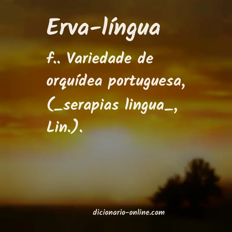 Significado de erva-língua