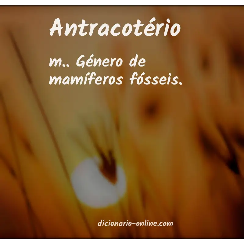 Significado de antracotério