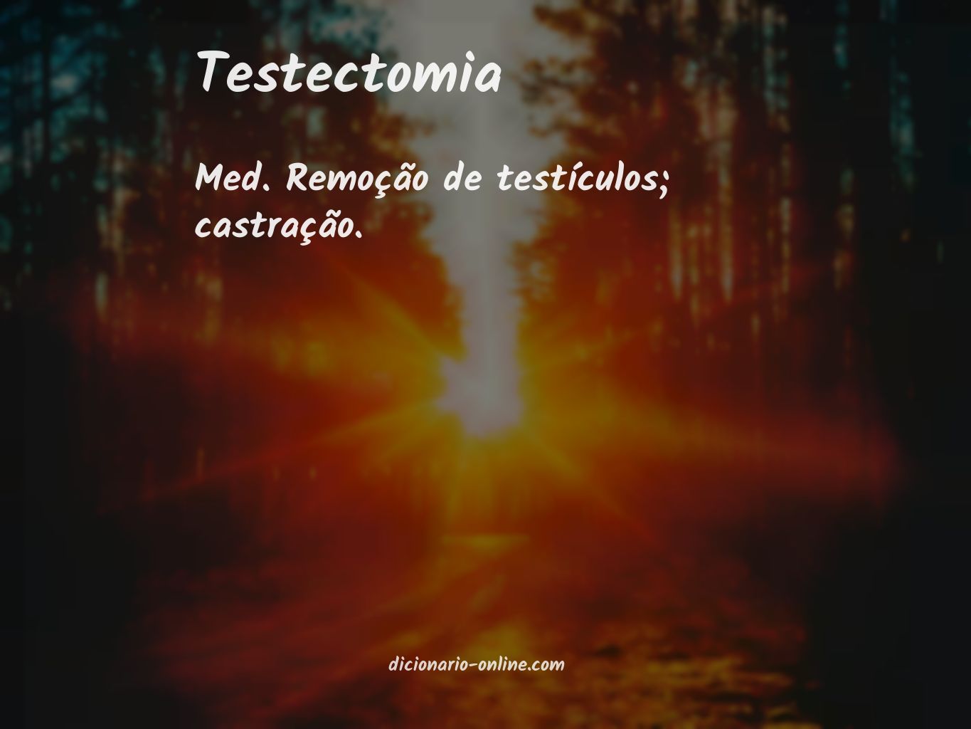 Significado de testectomia