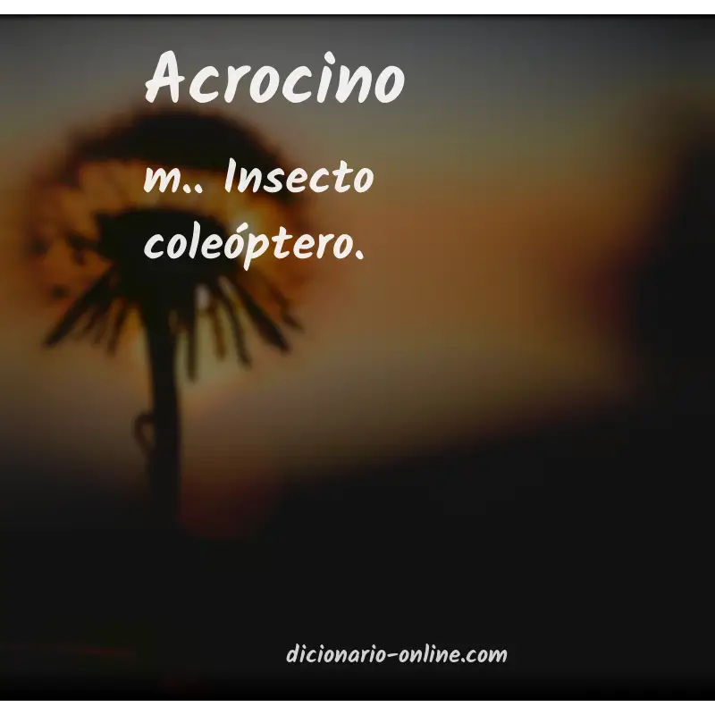 Significado de acrocino