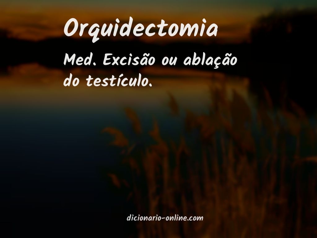 Significado de orquidectomia