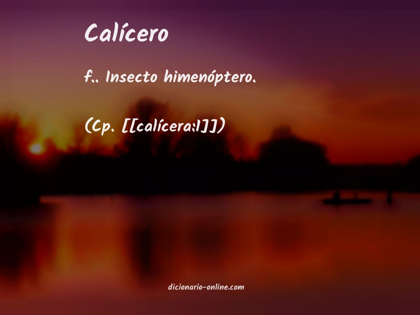 Significado de calícero