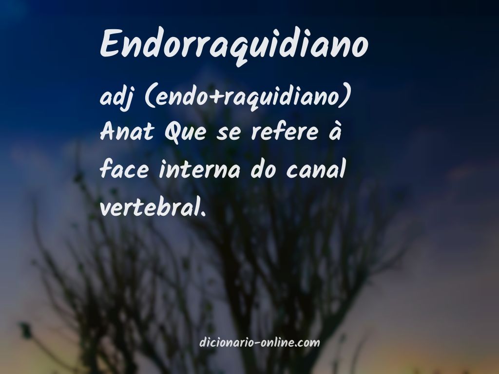 Significado de endorraquidiano