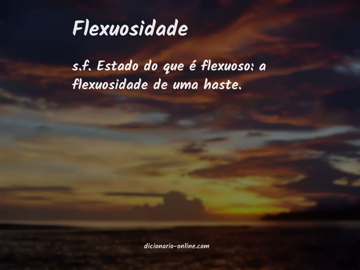 Significado de flexuosidade