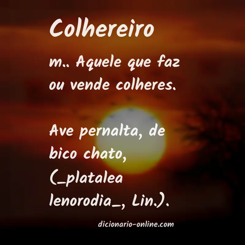Significado de colhereiro